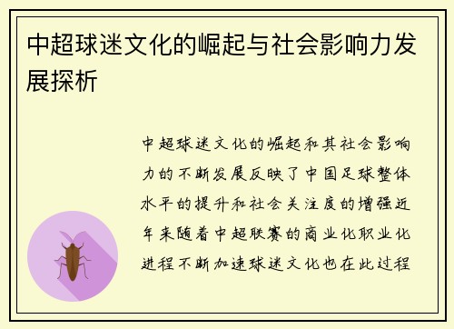 中超球迷文化的崛起与社会影响力发展探析