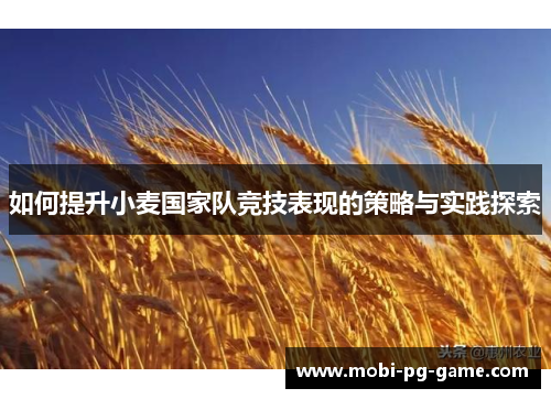 如何提升小麦国家队竞技表现的策略与实践探索