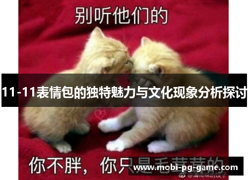 11-11表情包的独特魅力与文化现象分析探讨