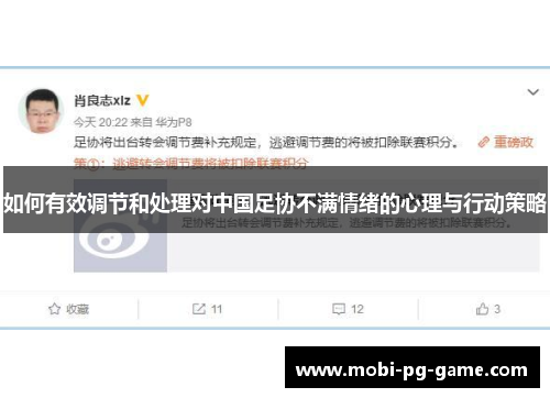如何有效调节和处理对中国足协不满情绪的心理与行动策略