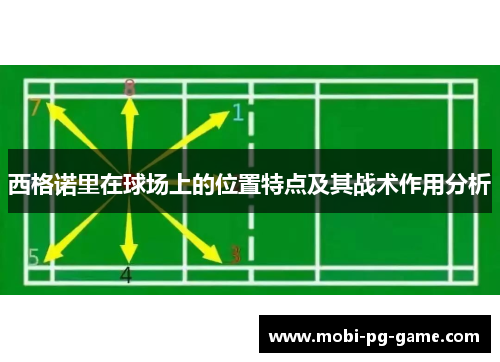 西格诺里在球场上的位置特点及其战术作用分析