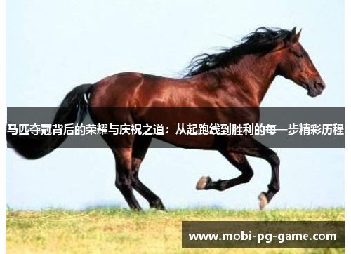 马匹夺冠背后的荣耀与庆祝之道：从起跑线到胜利的每一步精彩历程
