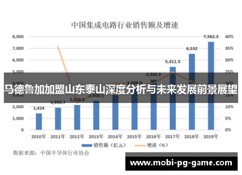 马德鲁加加盟山东泰山深度分析与未来发展前景展望