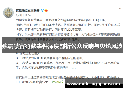 魏震禁赛罚款事件深度剖析公众反响与舆论风波