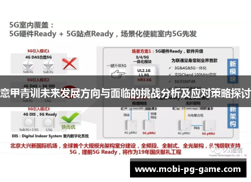 意甲青训未来发展方向与面临的挑战分析及应对策略探讨